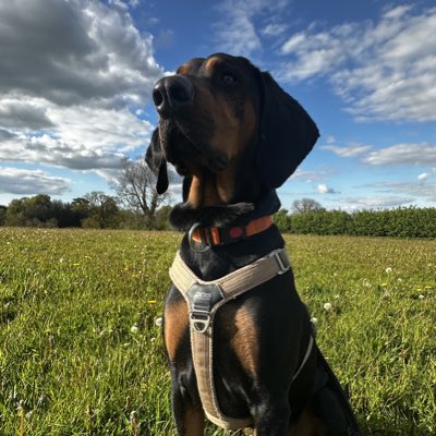 #NoweProfilowe