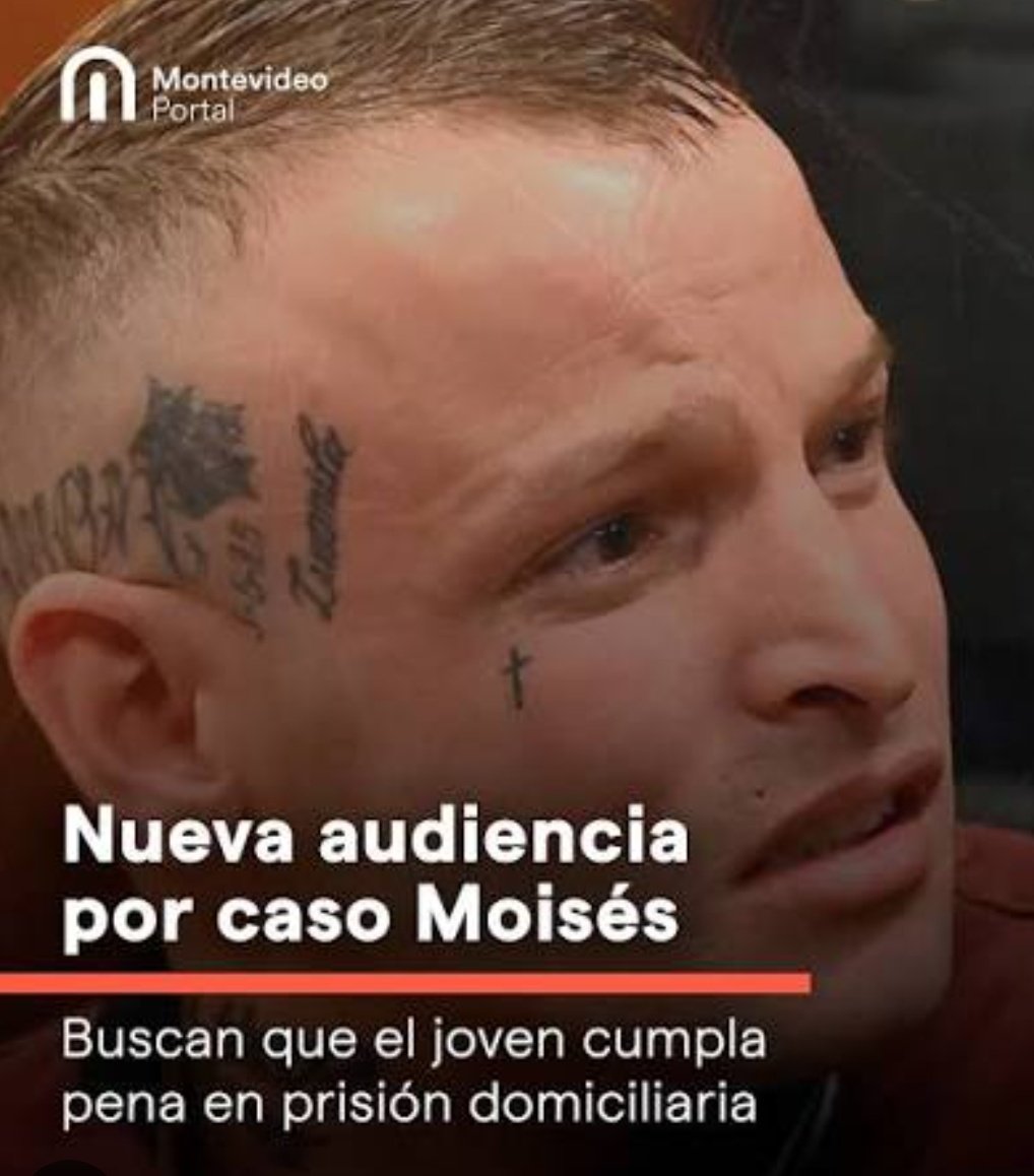 Silvana De Francesco tweet media