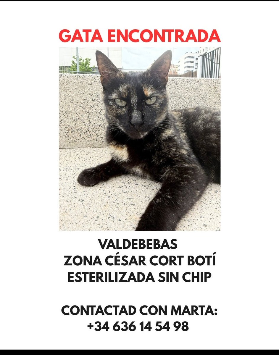 Borbole06688666's tweet photo. @HilosValdebebas https://t.co/glpzWKbvFp