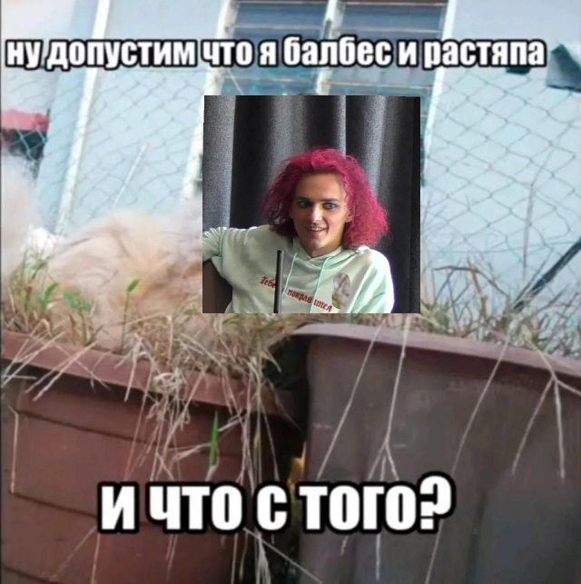 Max tweet media