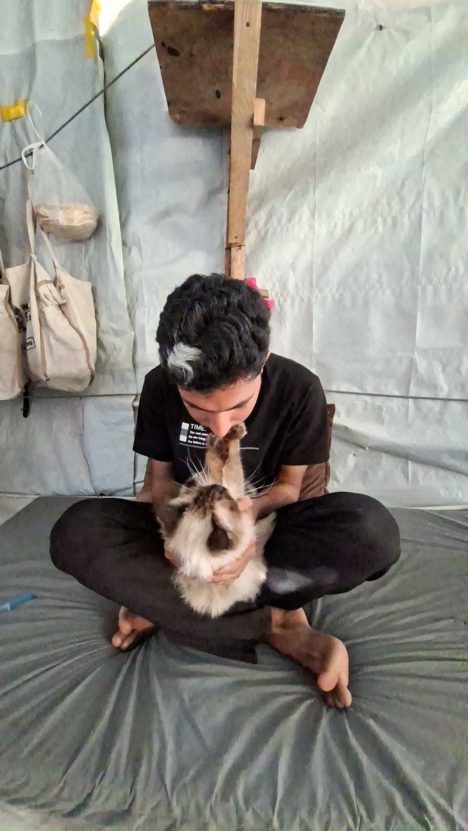 Mustafa𓂆 tweet media