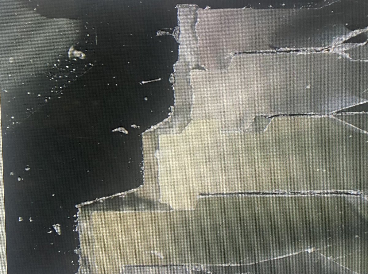 テカナリエ清水 tweet media