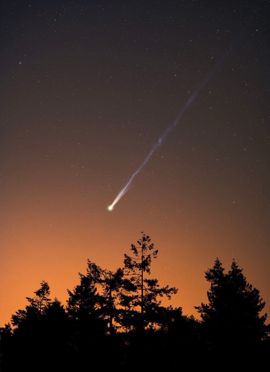 جمعية الفضاء والفلك tweet media