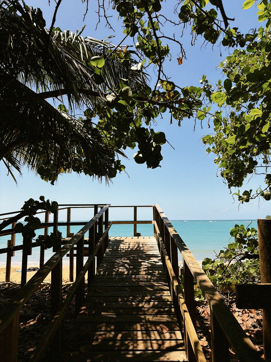 Jared🦉 tweet media