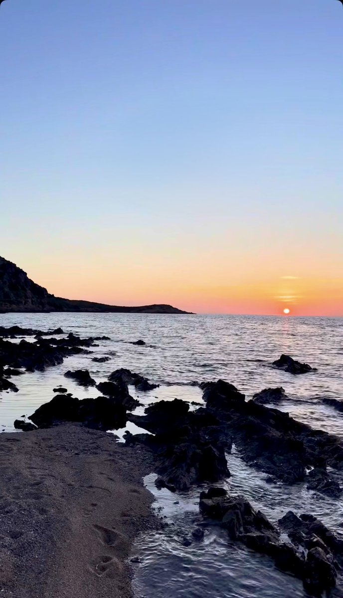 Alex 🏄‍♂️💭 tweet media