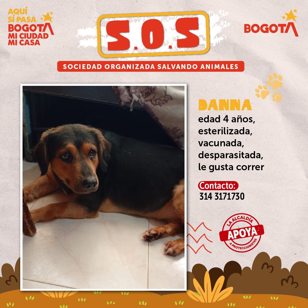 Protección Animal Bogotá tweet media