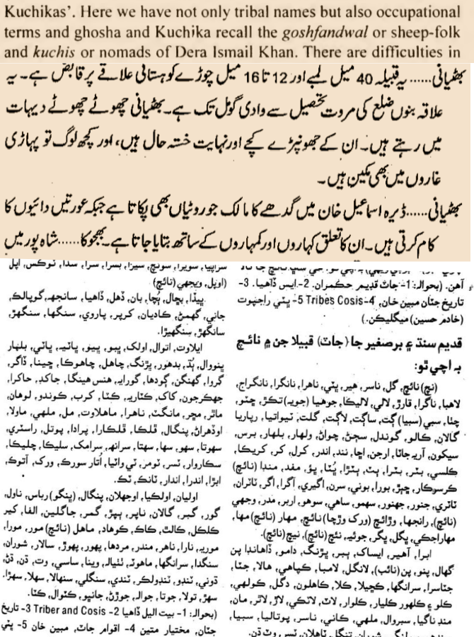 Sudodudo tweet media