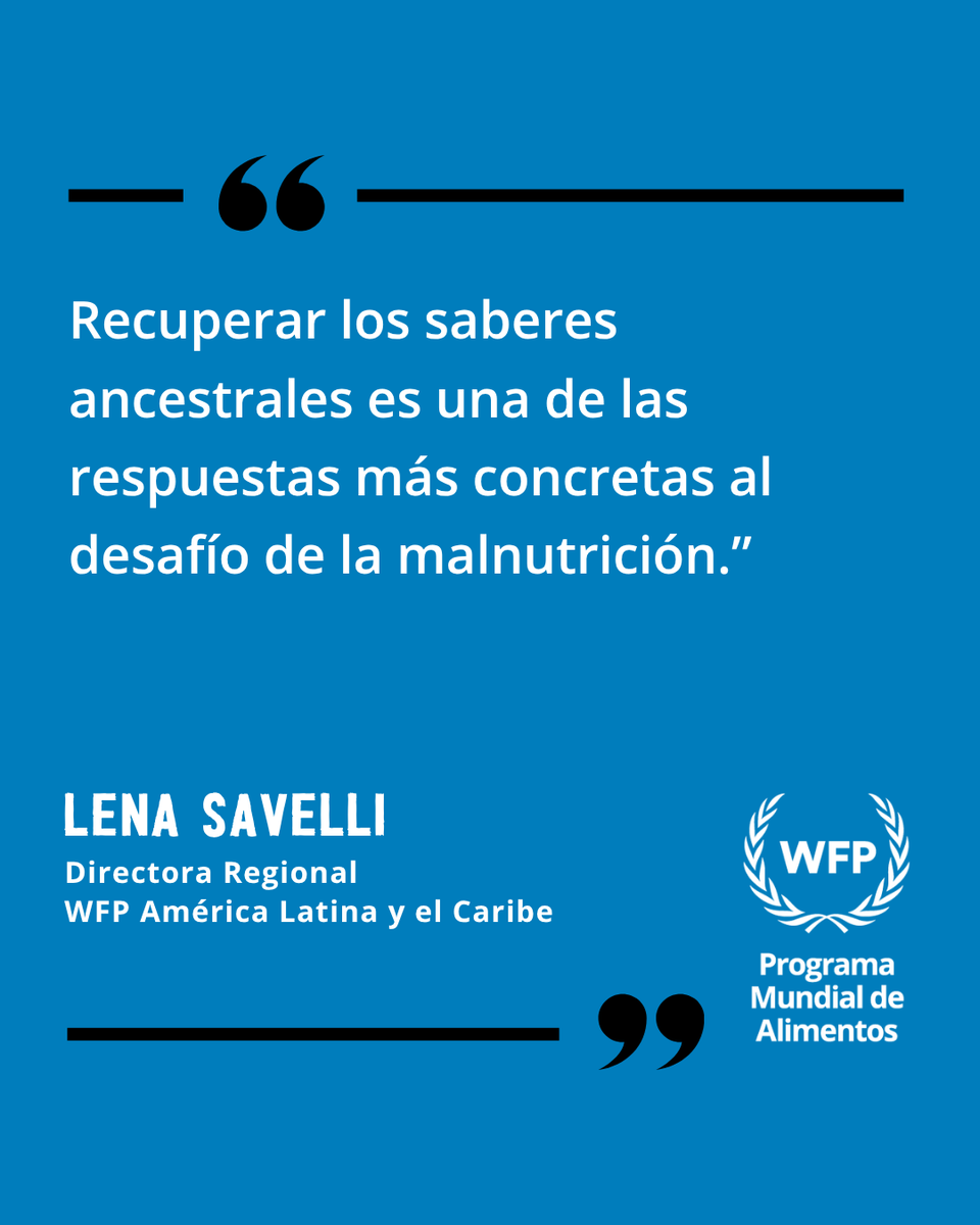 Lena Savelli tweet media