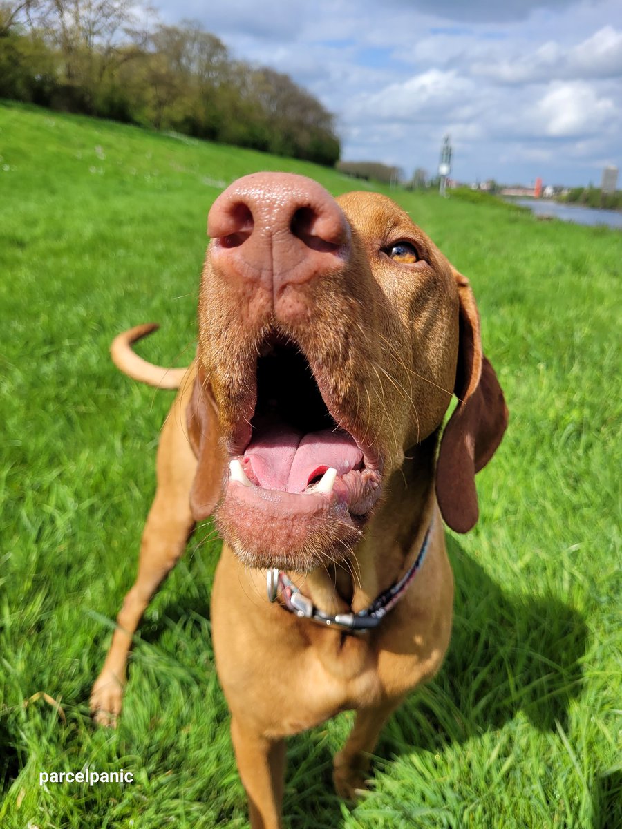 parcelpanic 🖤 tweet media