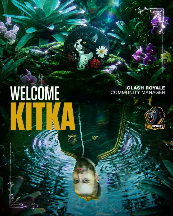 WeSports tweet media