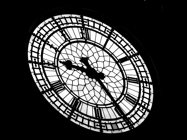 Megan Bell tweet media