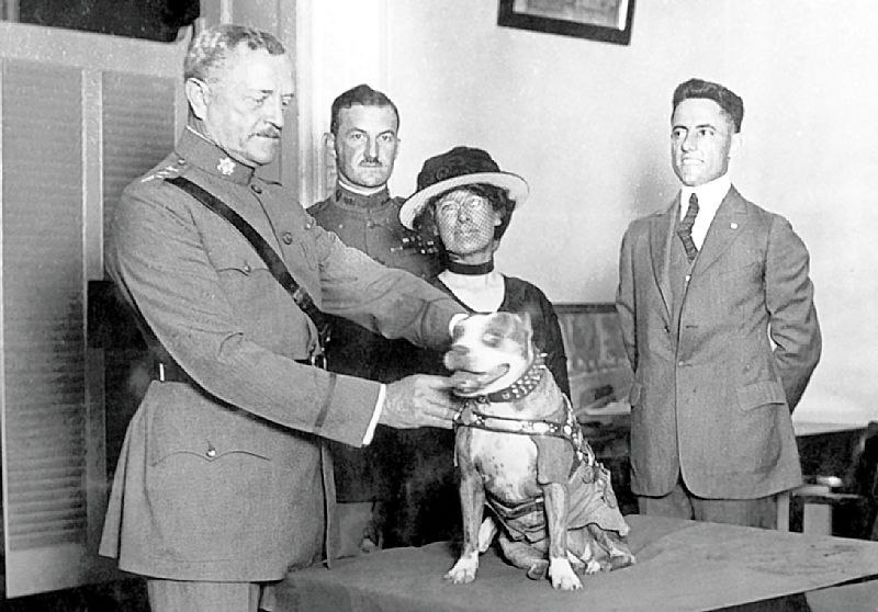 s_baskak's tweet photo. Бродяга, который стал героем

В 1917 году на поле для тренировок 102-го пехотного полка США забрёл бродячий пёс — помесь питбуля и бостонского терьера. Солдаты назвали его Стабби (Коротышка) и втайне от командования взяли с собой на фронт, во Францию.Стабби оказался прирождённым https://t.co/ED9OrvojbC