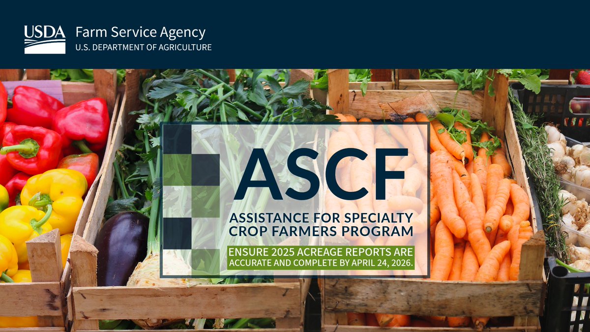 It’s the last week for specialty crop producers to complete 2025 crop acreage reports for crops eligible for the Assistance for Specialty Crop Farmers program. Specialty crop acreage reports for 2025 must be completed by April 24, 2026. fsa.usda.gov/news-events/ne…