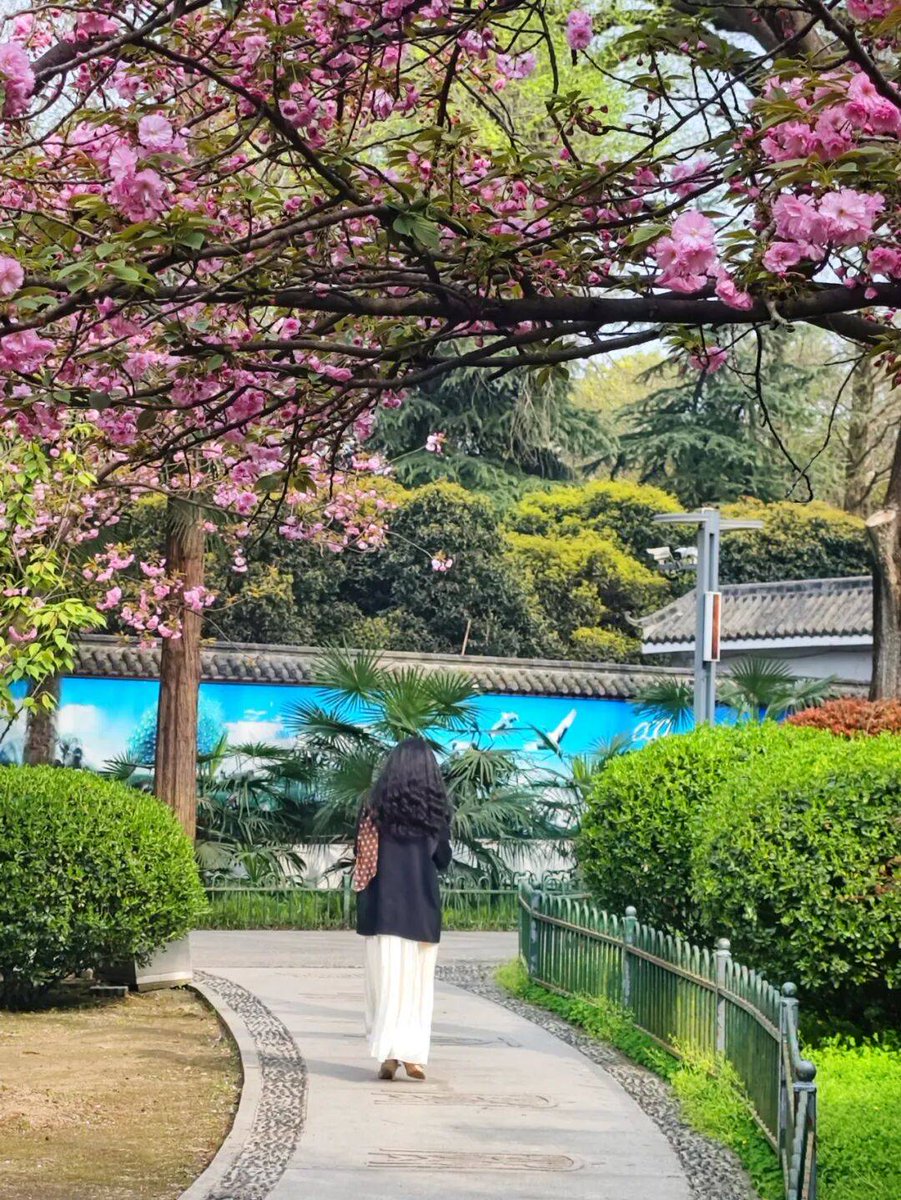 Chris Holthouser tweet media