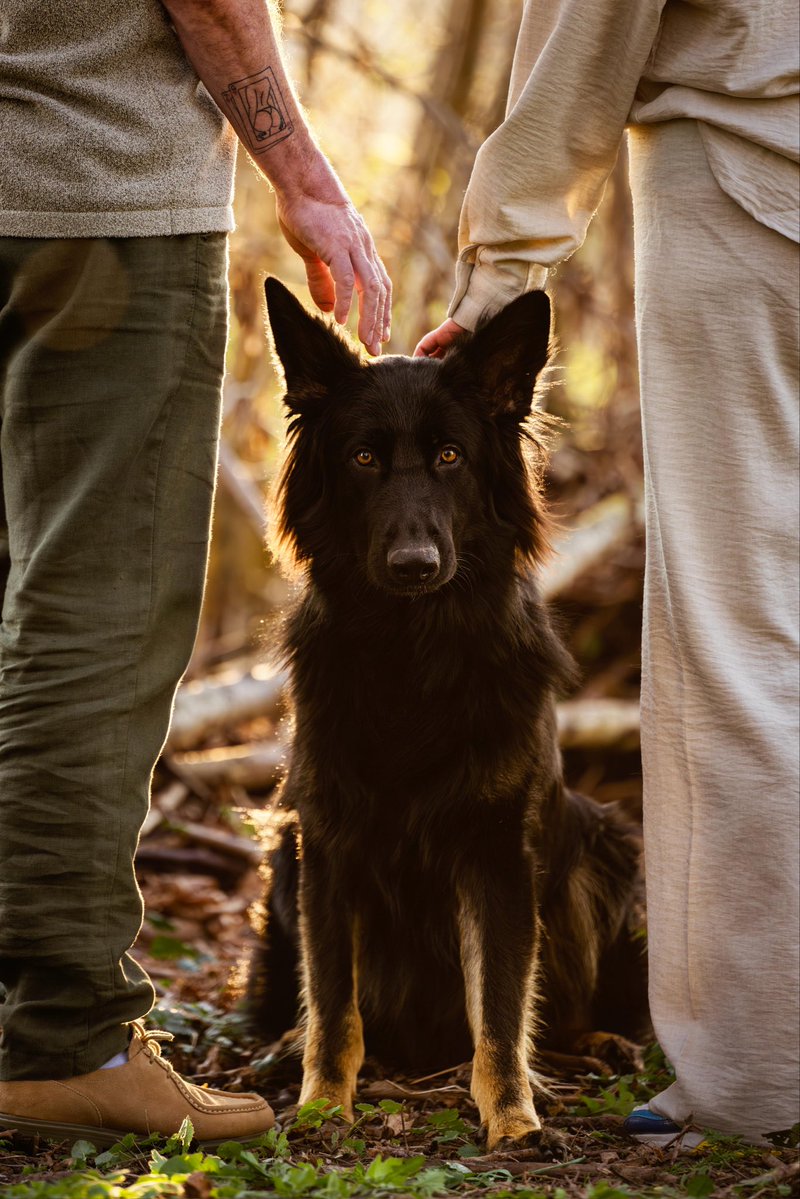 Lenneke Manschot tweet media