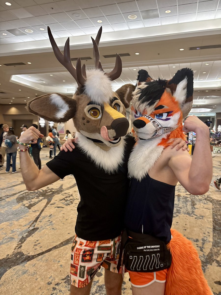 Blaze 🔥 🔜 FWA tweet media