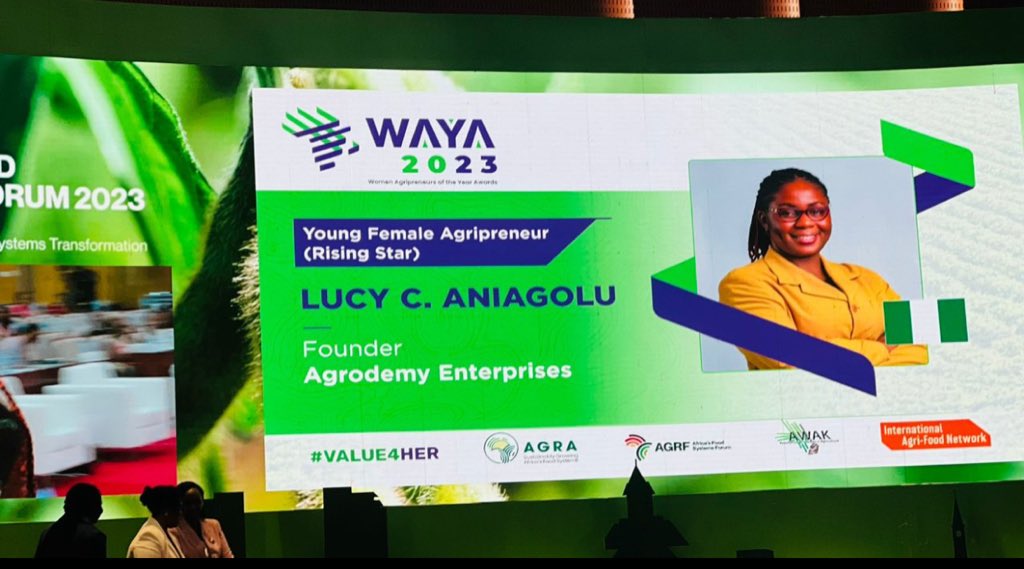 Lucy Chioma tweet media