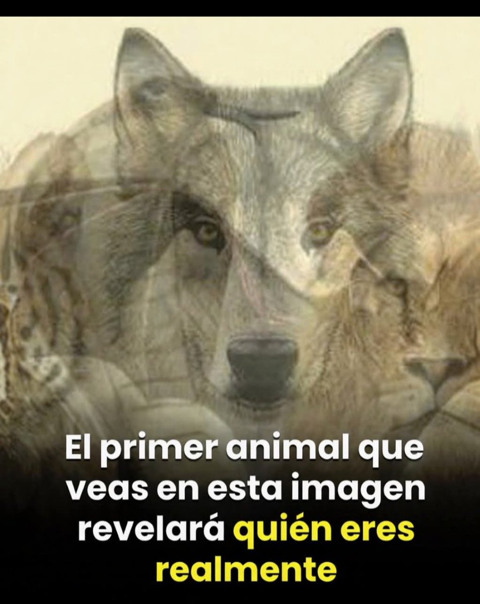 SandraQuiñones tweet media