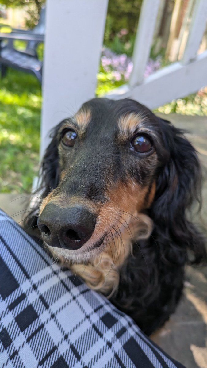 ZedsamcatThe2nd tweet media