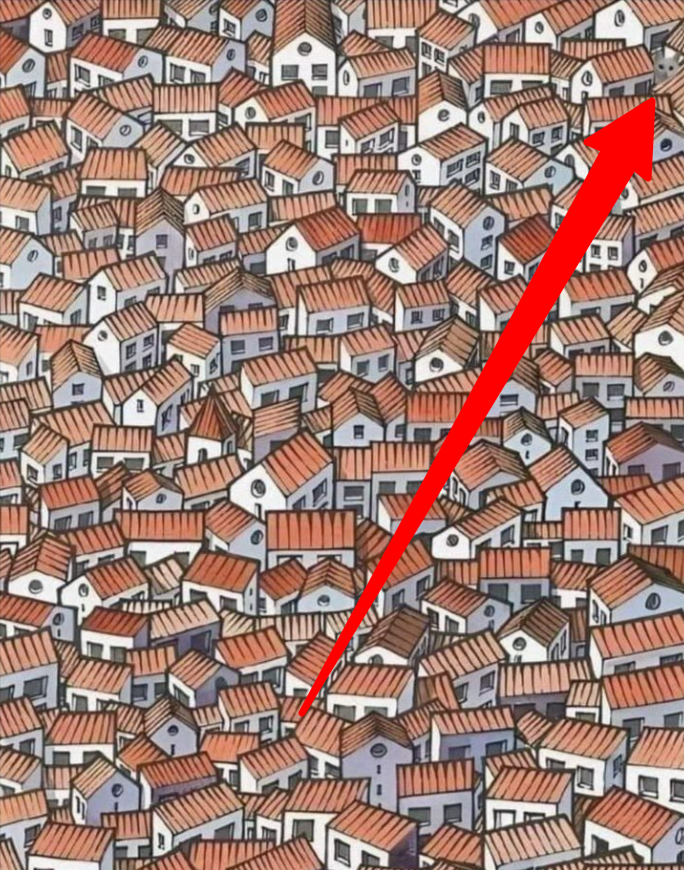 Tony Marino tweet media