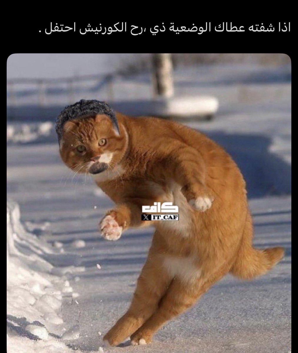 ⚡️نخبوي tweet media