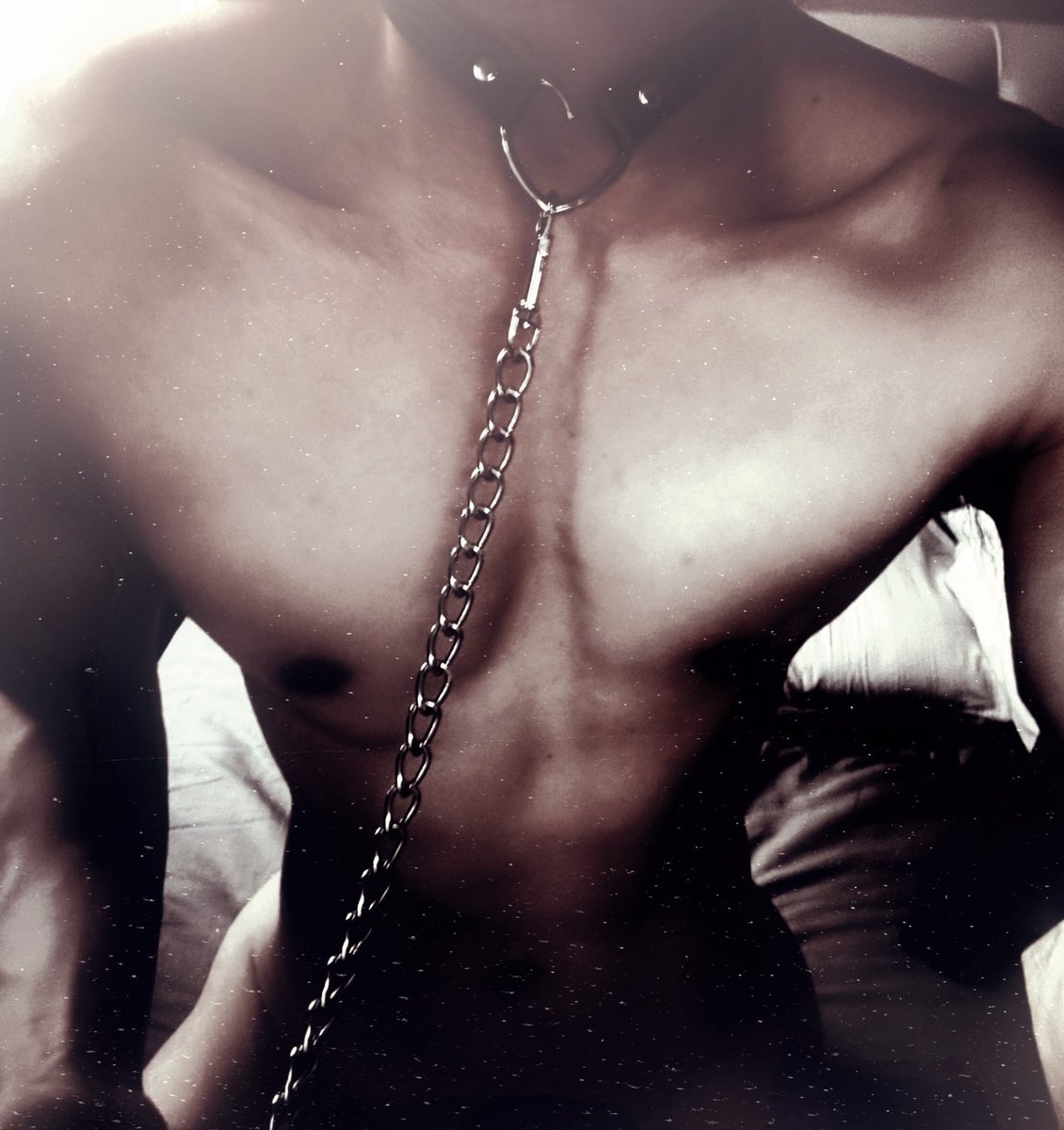 𝗲𝙧𝝾𝘀 ﹑ 𖦹 𝗱𝗿𝗮𝗰𝘂𝗹𝗮 tweet media