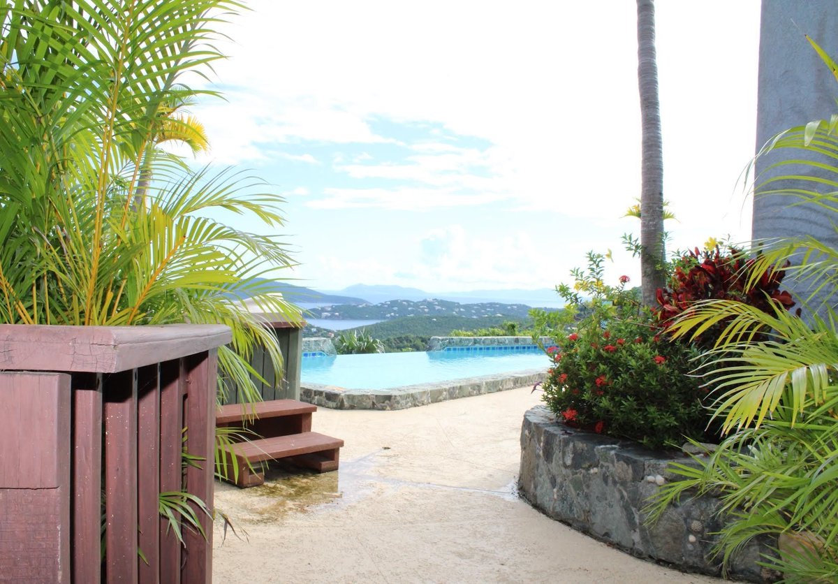 Leopard USA tweet media