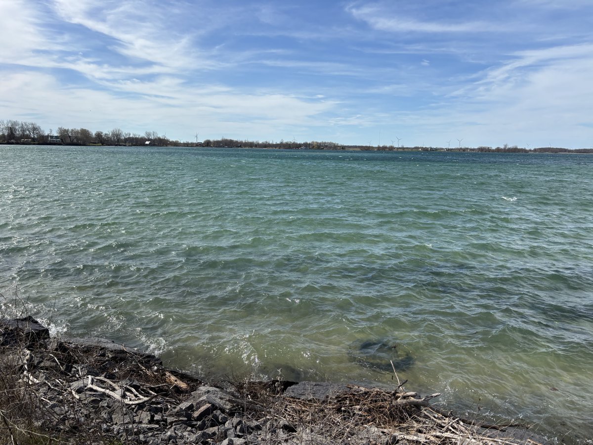 Lake Ontario Waterkeeper tweet media