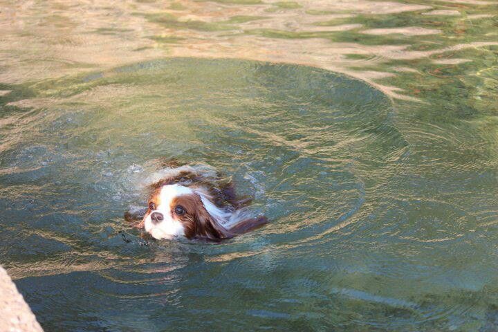 gal౨ৎ tweet media