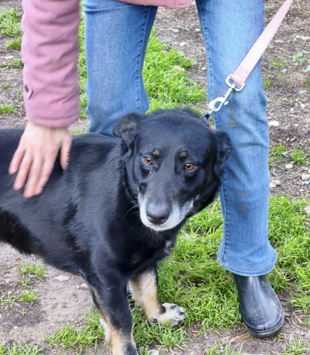 friendsofanimals_nf tweet media