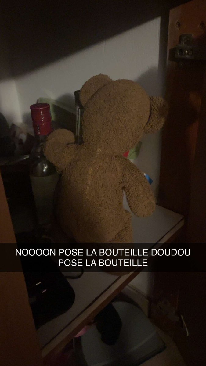 j’ai laissé mon doudou chez mon copain il s’amuse bien en tout cas