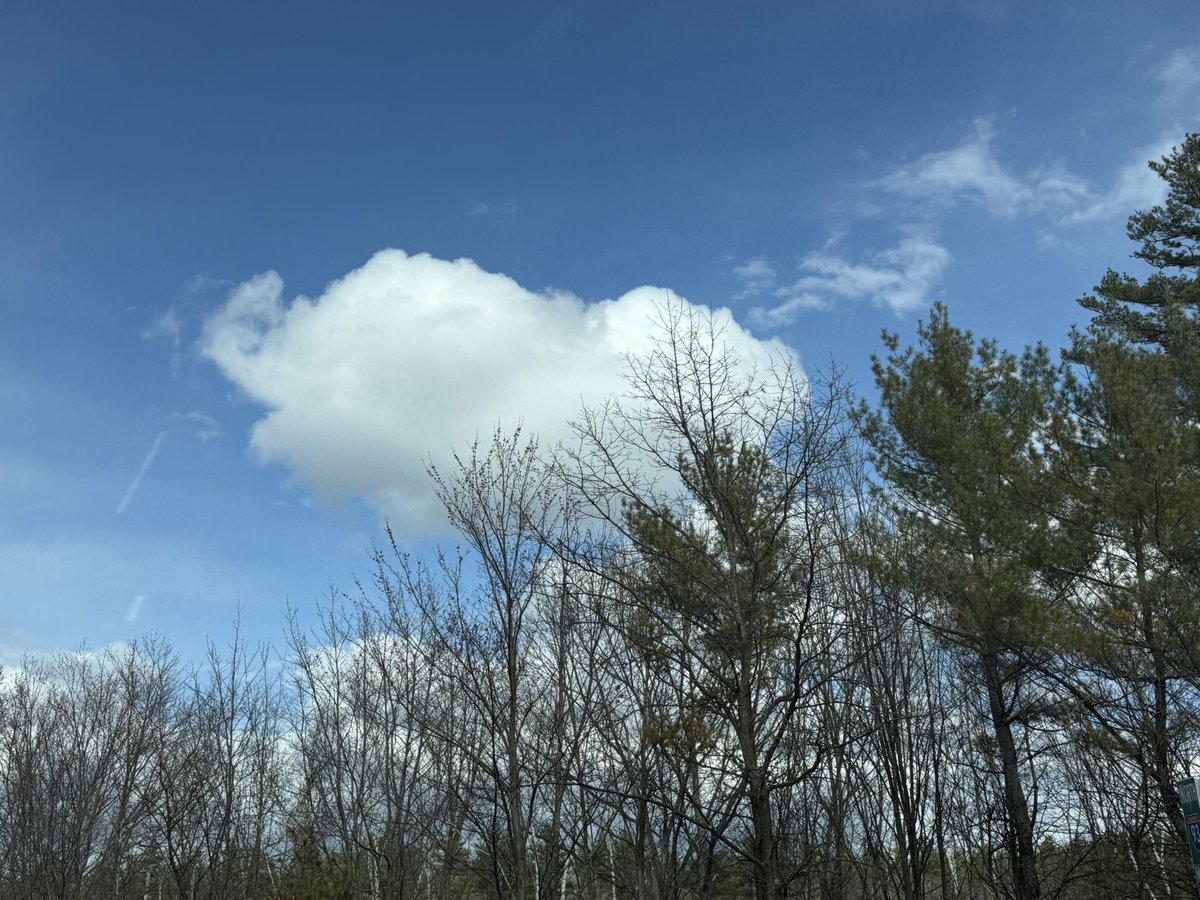 6O3Sabrina's tweet image. Head Shaped Clouds ~ New Hampshire ~ Patriots Day 

#NHpolitics #MAGA #2A #TRANS #LGBTQ #FITN #GenX #GenZ #NewHampshire #LiveFreeOrDie #AMERICA #USA #TRUMP #SCOTUS