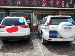 KUI YANG-葵阳先生 tweet media