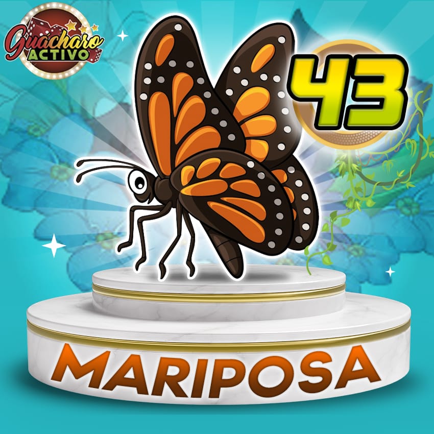 -* GUÁCHARO ACTIVO *- tweet media