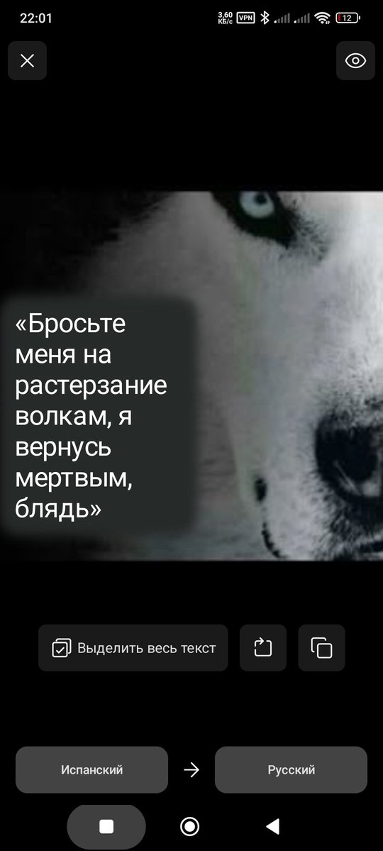 Astrophobia (sh#tpost ver.)🕷️🔪👁️‍🗨️⚛️ tweet media