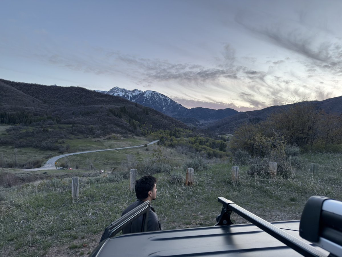 DAN LEVI tweet media