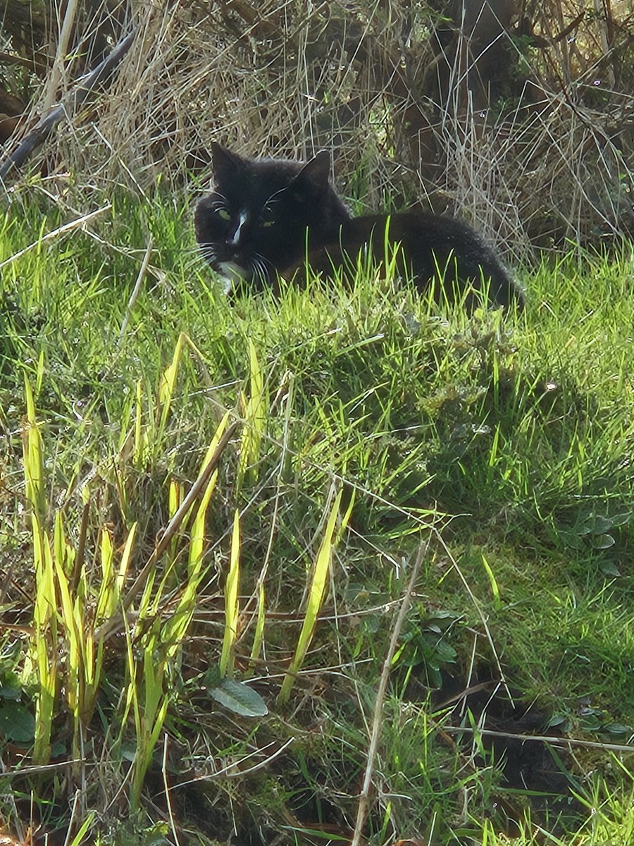 Talla Hopper tweet media