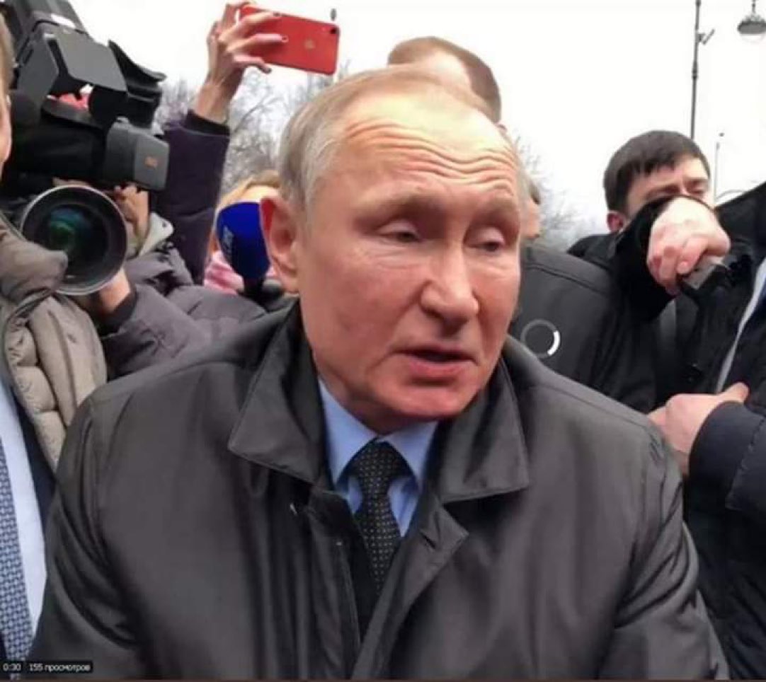 Вестник бури / Буревестник tweet media