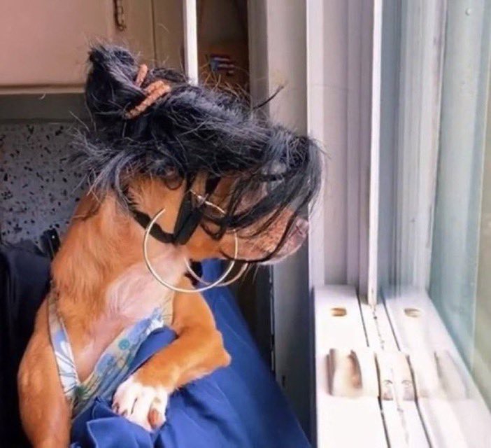 AnthonyDayDreamer tweet media