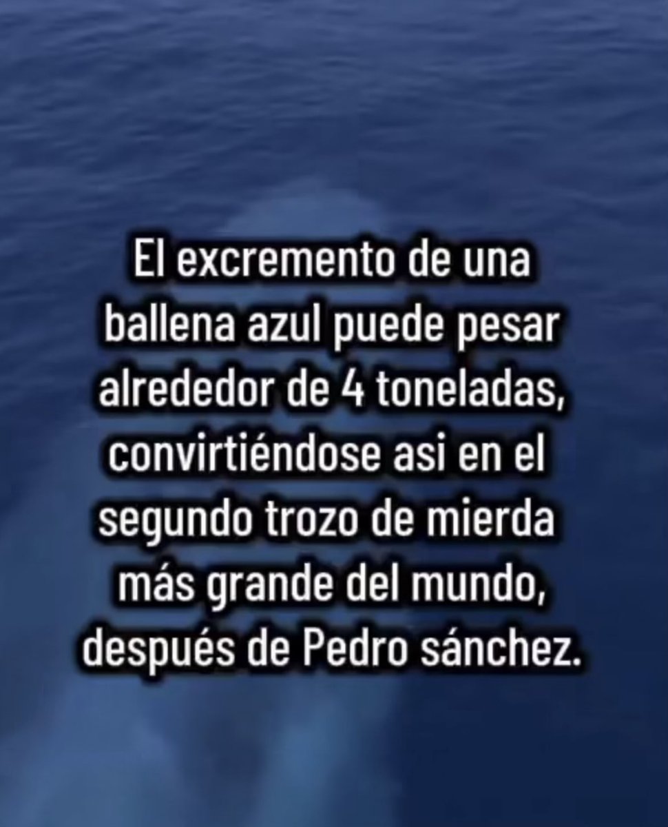 <a href="/gaceta_es/">LA GACETA</a> 💩💩💩💩💩💩💩💩