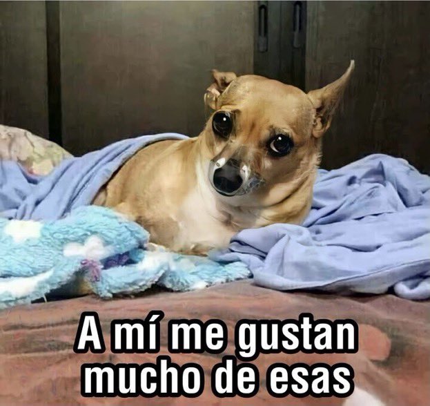 Hombre en la luna tweet media