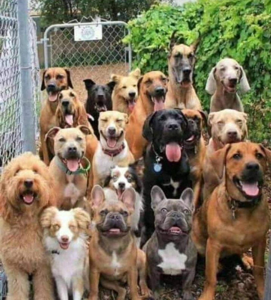 BOSS KIM tweet media