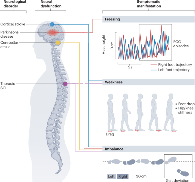 Nature Reviews Bioengineering tweet media