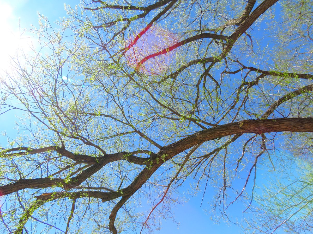 seasidebound1's tweet image. Morning vs afternoon weather. 
Lucy Maud Montgomery was right:
“Snow in April is abominable like a slap in the face when you expected a kiss.” #climatechange