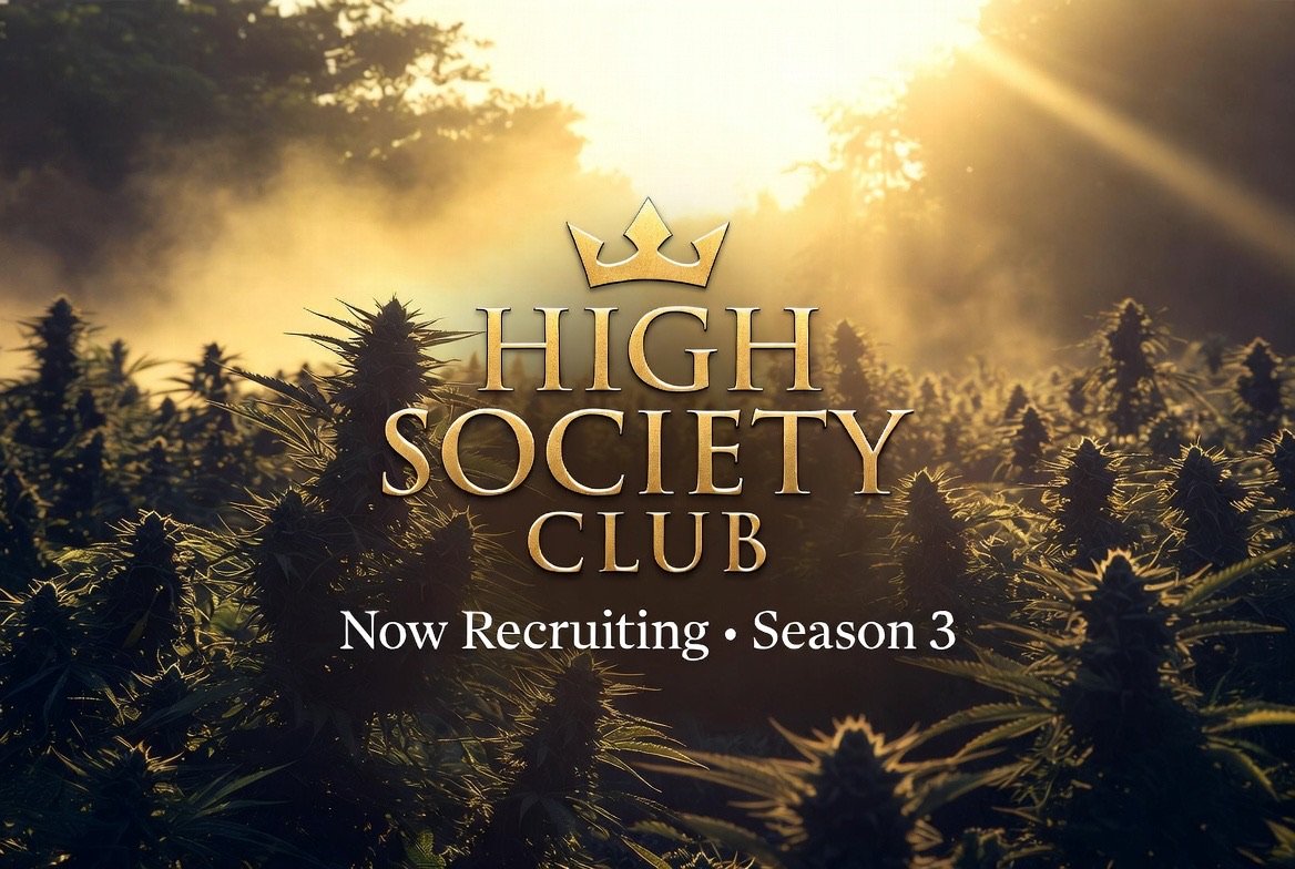 HighSocietyClub tweet media