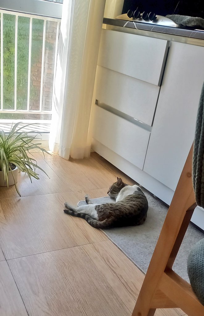 Samira🦒 tweet media