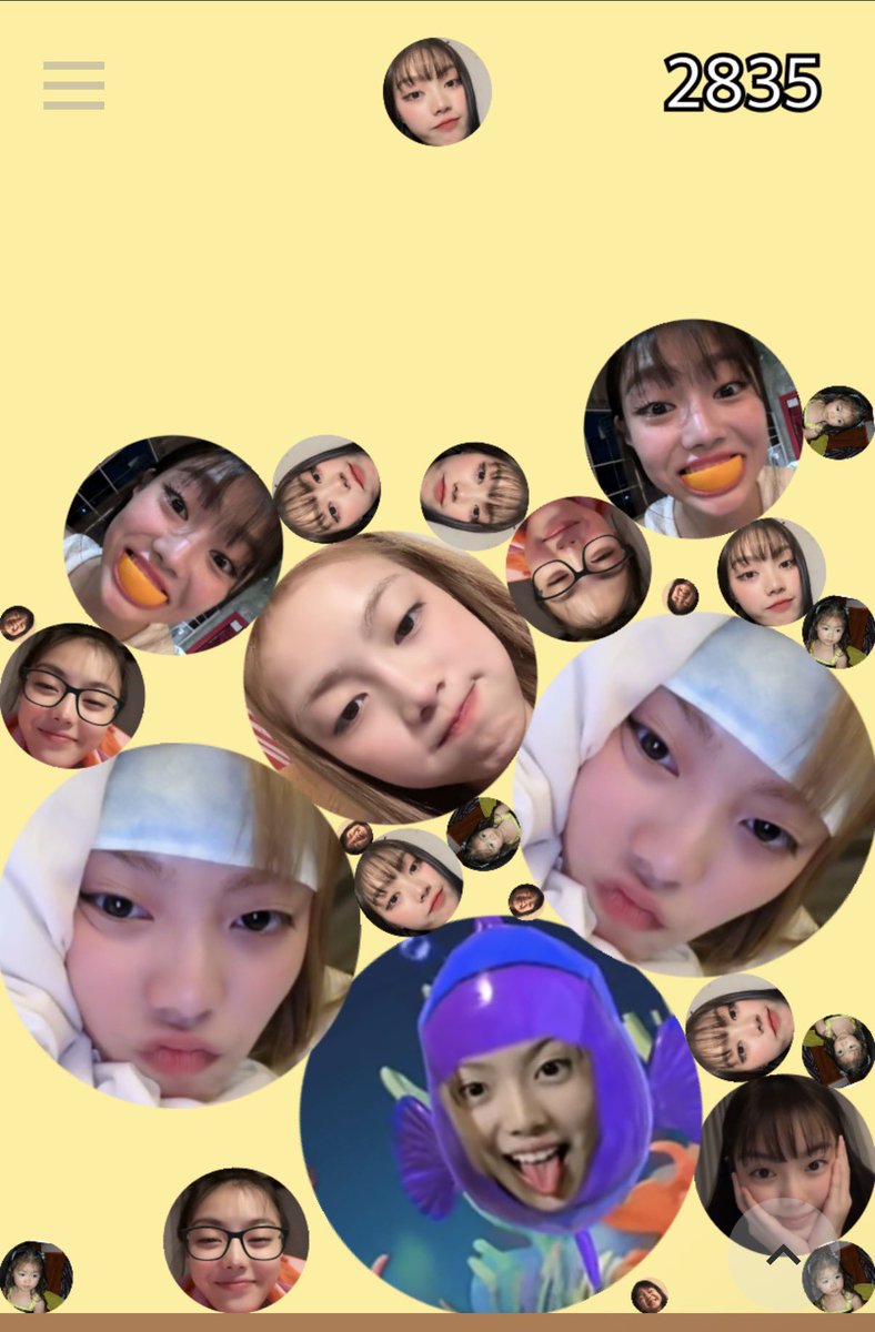 หมาฮ๋วง🎀 tweet media