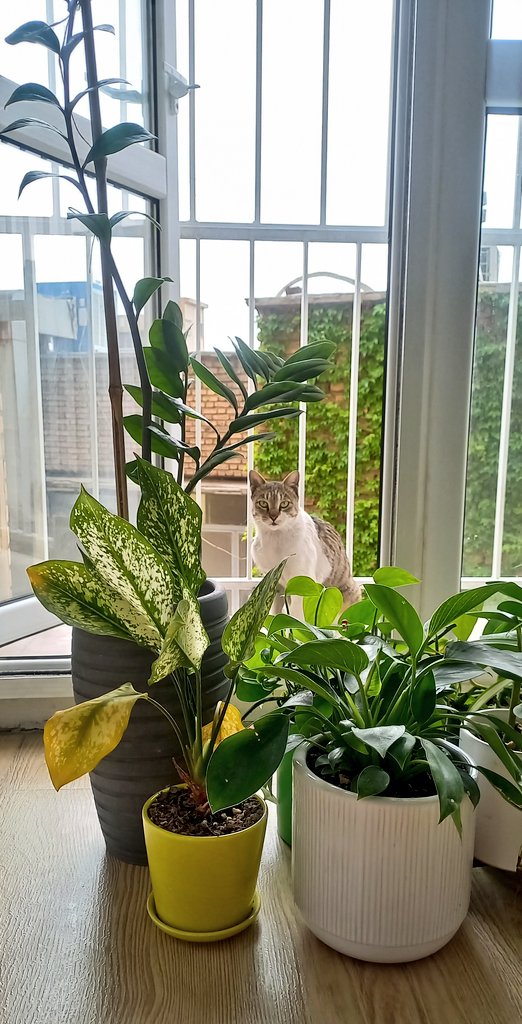 Samira🦒 tweet media