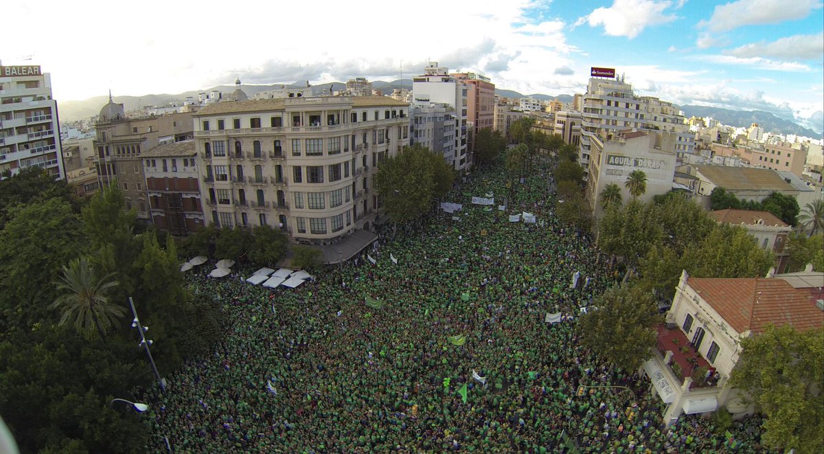 jsibalears's tweet photo. https://t.co/6NeZ6unpYi