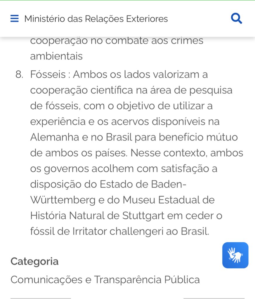 Aline Ghilardi tweet media